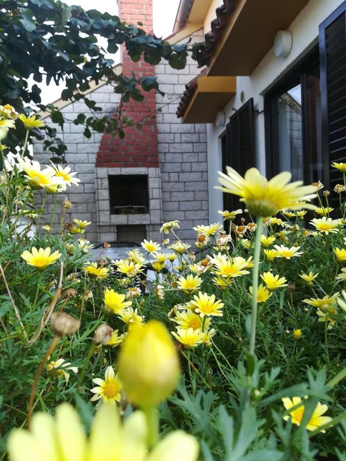 Apartments Eliva Umag Exterior foto